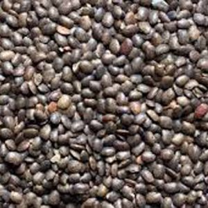 Horse Gram (Gahat) [1 kg]