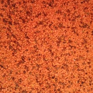 Red Lentil (Musuro ko Daal) [1 kg]